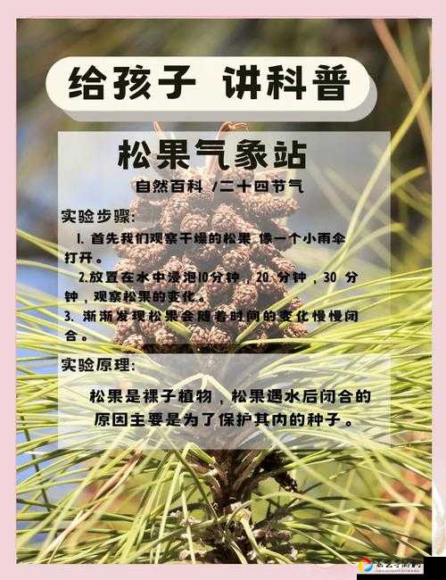 魔法冰河松果到底能干啥？这6种神仙用法直接封神！