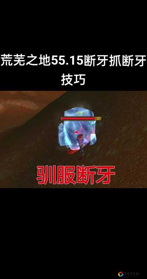 魔兽怀旧服断离速刷指南！隐藏掉落点+任务触发技巧一次说透
