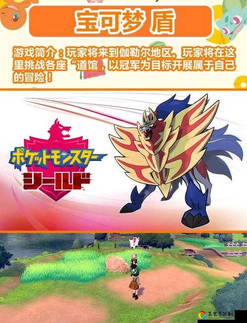 宝可梦剑盾发售日期曝光！Switch平台必玩新作来了