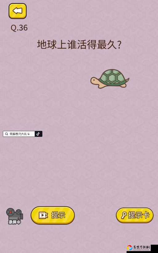 爆哭推荐！召唤神龙烧脑智力大乱斗第59关零失误通关秘籍！卡关党必看！