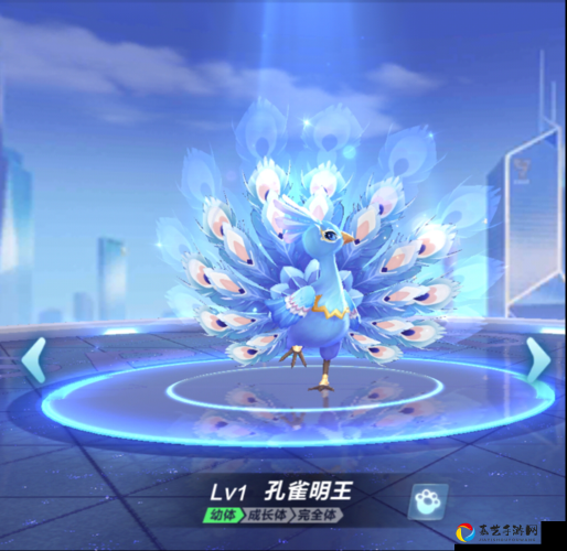 绝美预警！QQ飞车孔雀明王值不值得？宠物党必看攻略
