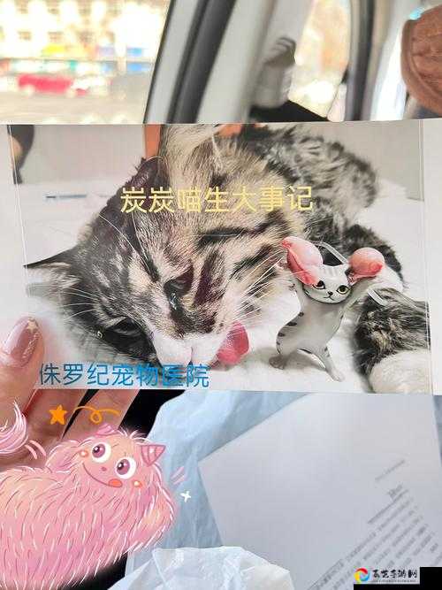 侏罗纪猫基因合成零失败攻略！ABCD配方全解析